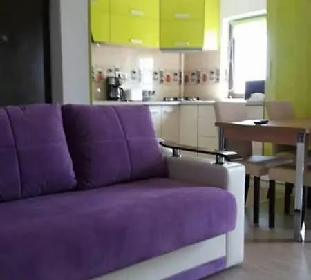 Apartment Apartament Pescarus *