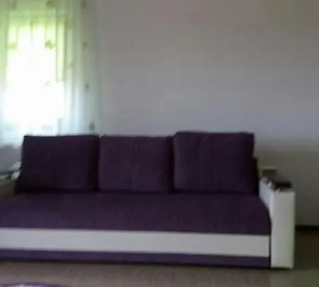 Apartament Pescarus Apartment *